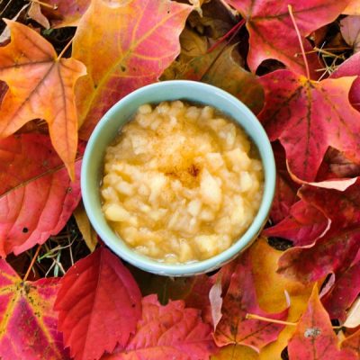 A bowl of applesauce with a dash of cinnamon.