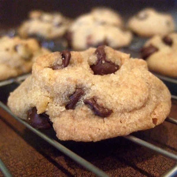 Slightly browned chocolate chip yogurt cookie.