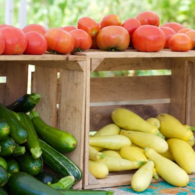 Two wooden crates on their sides with whole zucchini in one and whole yellow squash in another and tomatoes across the top of both.