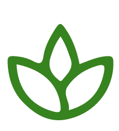 Icon of Vegetarian recipes